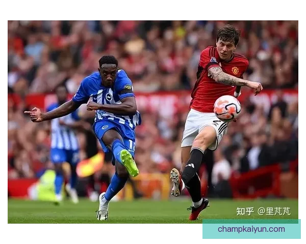 布莱顿在本赛季英超表现稳健，持续提升竞争力引发关注