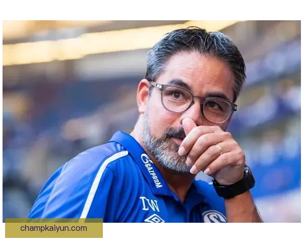 沙尔克进攻数据分析显示球队状态回暖，近期表现稳健，值得关注。